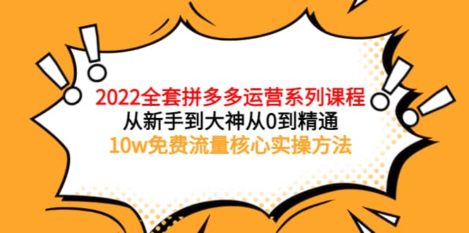 2022全套拼多多运营课程，从新手到大神从0到精通，10w免费流量核心实操方法-91搞钱