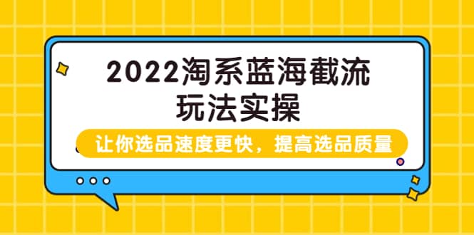 2022淘系蓝海截流玩法实操：让你选品速度更快，提高选品质量（价值599）-91搞钱