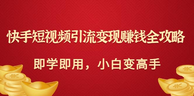 快手短视频引流变现赚钱全攻略：即学即用，小白变高手（价值980元）-91搞钱