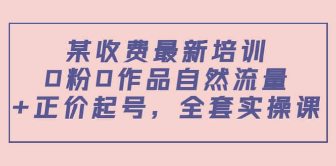 某收费最新培训：0粉0作品自然流量+正价起号，全套实操课-91搞钱