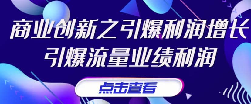 《商业创新之引爆利润增长》引爆流量业绩利润-91搞钱