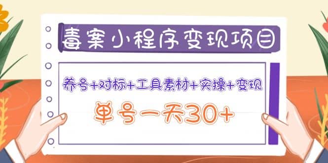 毒案小程序变现项目：养号+对标+工具素材+实操+变现-91搞钱