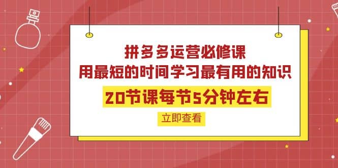 拼多多运营必修课：20节课每节5分钟左右，用最短的时间学习最有用的知识-91搞钱