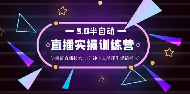 蚂蚁·5.0半自动直播2345打法，半自动爆流直播技术+5分钟卡点循环引爆话术-91搞钱