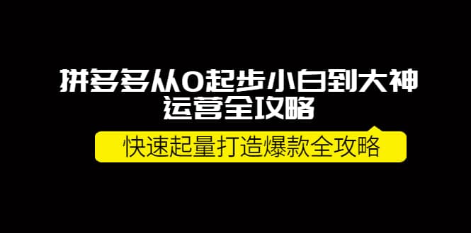 拼多多从0起步小白到大神运营全攻略-91搞钱