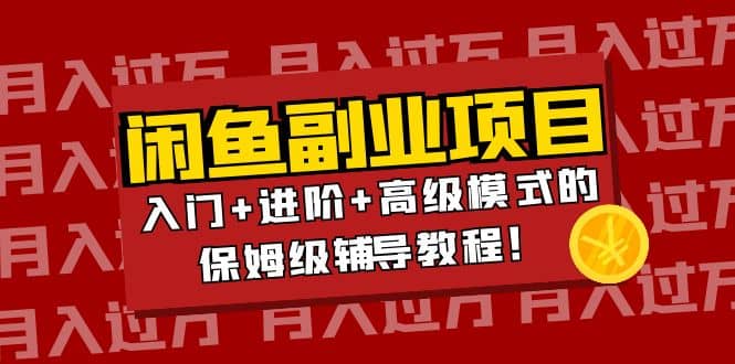 月入过万闲鱼副业项目：入门+进阶+高级模式的保姆级辅导教程-91搞钱