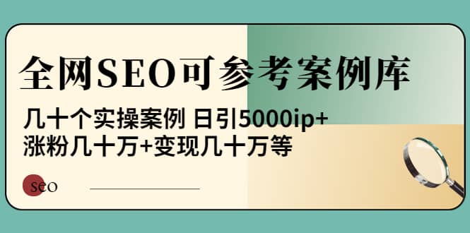 《全网SEO可参考案例库》几十个实操案例-91搞钱