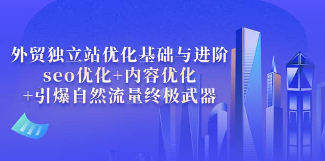 外贸独立站优化基础与进阶，seo优化+内容优化+引爆自然流量终极武器-91搞钱