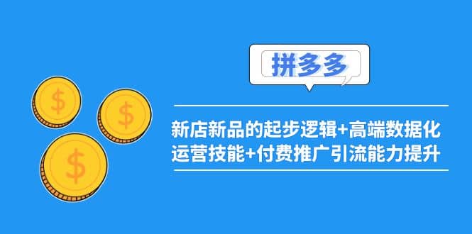 2022拼多多：新店新品的起步逻辑+高端数据化运营技能+付费推广引流能力提升-91搞钱