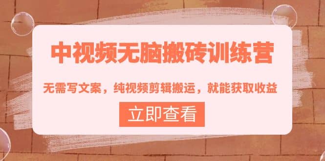 中视频无脑搬砖训练营：无需写文案，纯视频剪辑搬运，就能获取收益-91搞钱