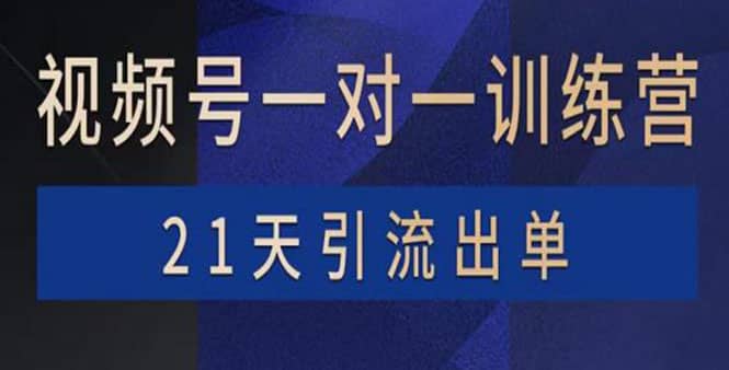 视频号训练营：带货，涨粉，直播，游戏，四大变现新方向，21天引流出单-91搞钱
