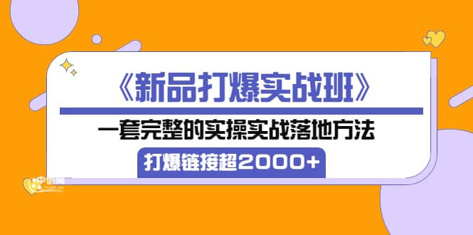《新品打爆实战班》一套完整的实操实战落地方法，打爆链接超2000+（38节课)-91搞钱