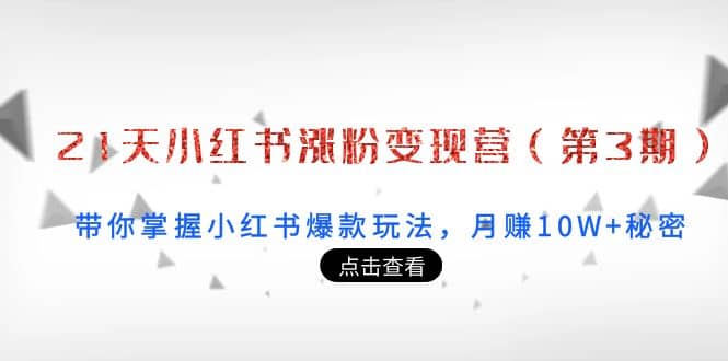 21天小红书涨粉变现营（第3期）：带你掌握小红书爆款玩法，月赚10W+秘密-91搞钱