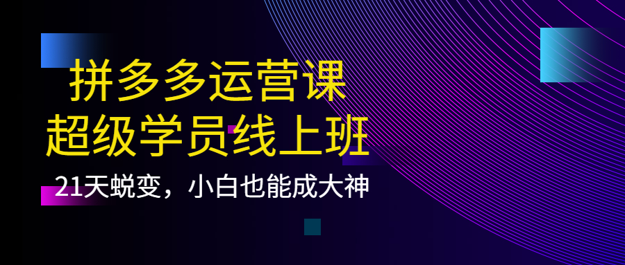 拼多多运营课：超级学员线上班，21天蜕变，小白也能成大神-91搞钱