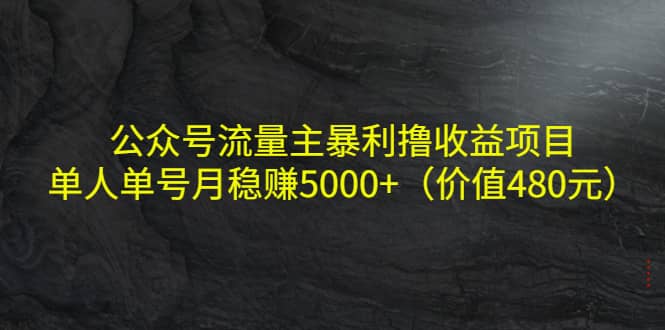 公众号流量主暴利撸收益项目，单人单号月稳赚5000+（价值480元）-91搞钱