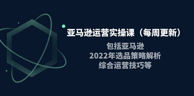 亚马逊运营实操课（每周更新）包括亚马逊2022选品策略解析，综合运营技巧等-91搞钱