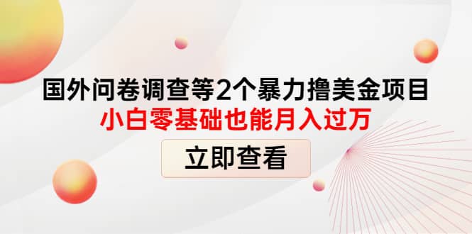 国外问卷调查等2个暴力撸美元项目，小白零基础也能月入过万-91搞钱