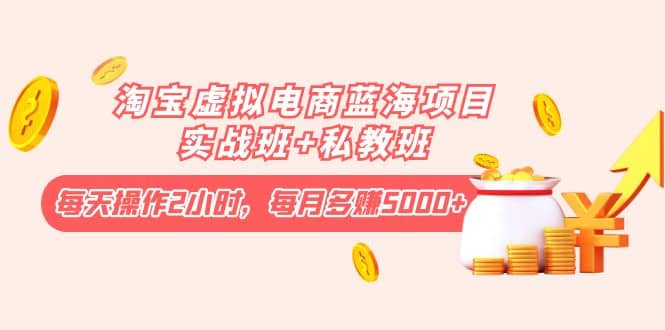 淘宝虚拟电商蓝海项目实战班+私教班-91搞钱