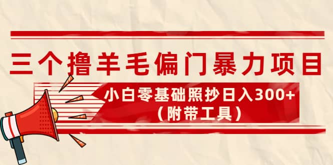 外面卖998的三个撸羊毛项目，小白零基础照抄（附带工具）-91搞钱