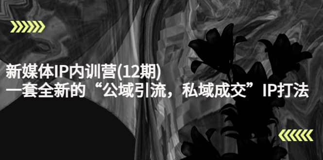 新媒体IP内训营(12期)，一套全新的“公域引流，私域成交”IP打法，直接带走-91搞钱