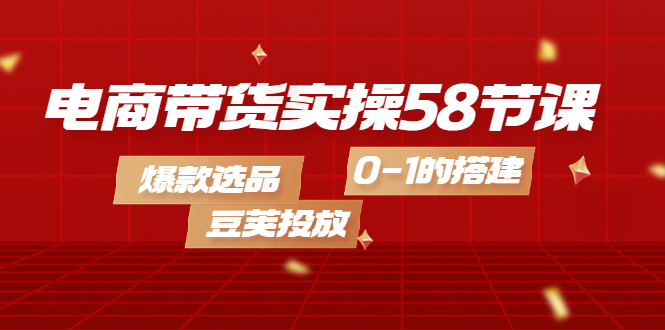 电商带货实操58节课，爆款选品，豆荚投放，0-1的搭建-91搞钱