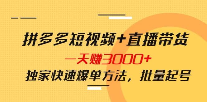 拼多多短视频+直播带货，一天赚3000+独家快速爆单方法，批量起号-91搞钱