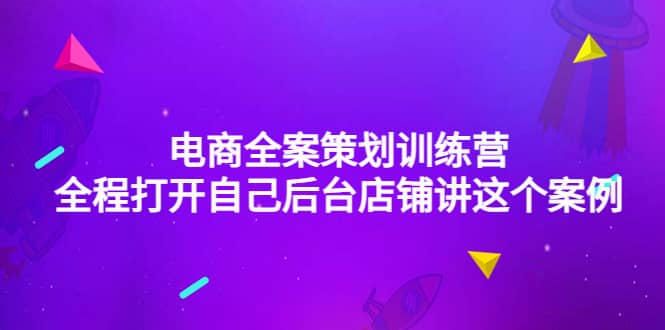 电商全案策划训练营：全程打开自己后台店铺讲这个案例（9节课时）-91搞钱
