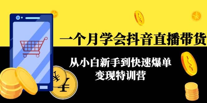 一个月学会抖音直播带货：从小白新手到快速爆单变现特训营(63节课)-91搞钱