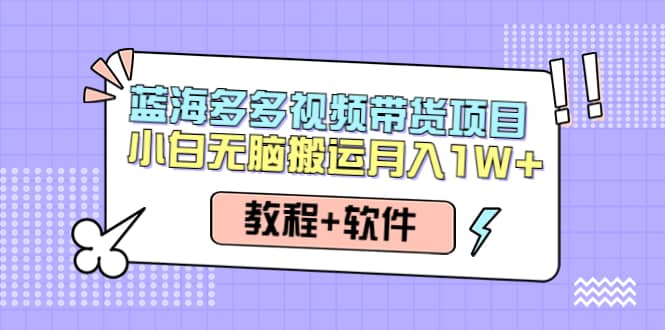 人人都能操作的蓝海多多视频带货项目 小白无脑搬运（教程+软件）-91搞钱