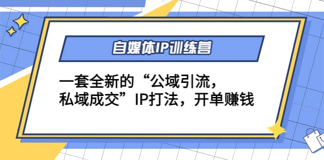 自媒体IP训练营(12+13期)一套全新的“公域引流，私域成交”IP打法-91搞钱
