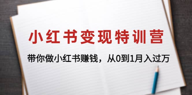 小红书变现特训营：带你做小红书项目-91搞钱