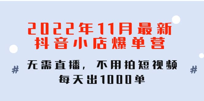 2022年11月最新抖音小店爆单训练营：无需直播，不用拍短视频，每天出1000单-91搞钱