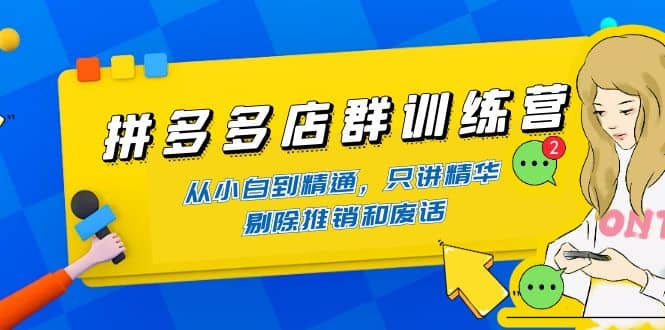 拼多多店群训练营：从小白到精通，只讲精华，剔除推销和废话-91搞钱