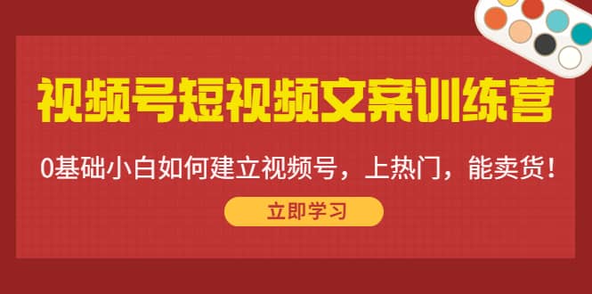 视频号短视频文案训练营：0基础小白如何建立视频号，上热门，能卖货！-91搞钱