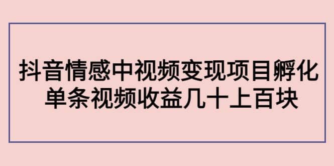 抖音情感中视频变现项目孵化-91搞钱