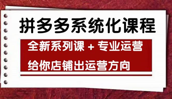 车神陪跑，拼多多系统化课程，全新系列课+专业运营给你店铺出运营方向-91搞钱