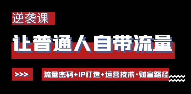 让普通人自带流量的逆袭课：流量密码+IP打造+运营技术·财富路径-91搞钱