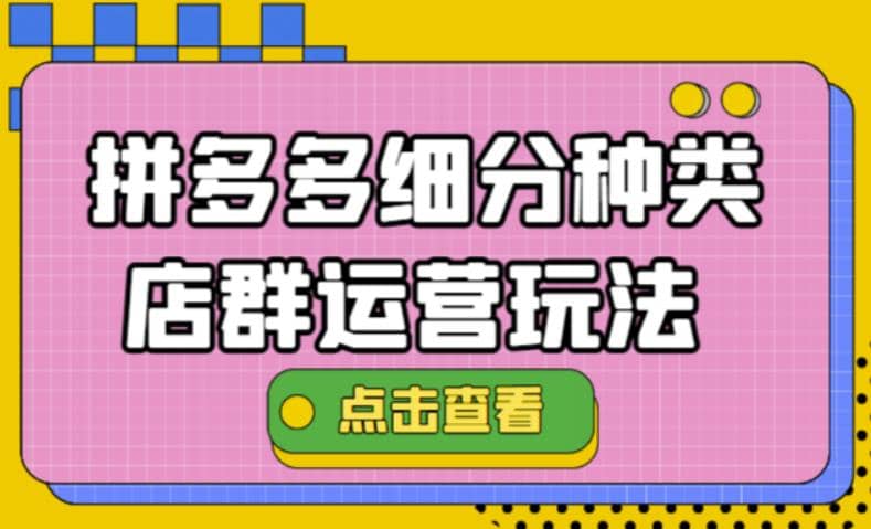 拼多多细分种类店群运营玩法3.0，11月最新玩法，小白也可以操作-91搞钱