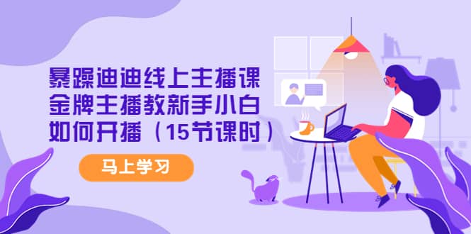暴躁迪迪线上主播课，金牌主播教新手小白如何开播（15节课时）-91搞钱