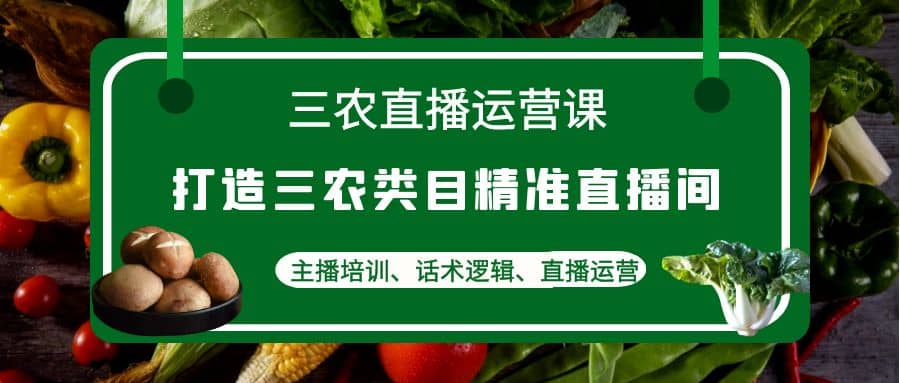 三农直播运营课：打造三农类目精准直播间，主播培训、话术逻辑、直播运营-91搞钱