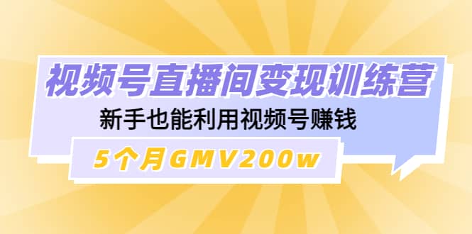 视频号直播间变现训练营-91搞钱