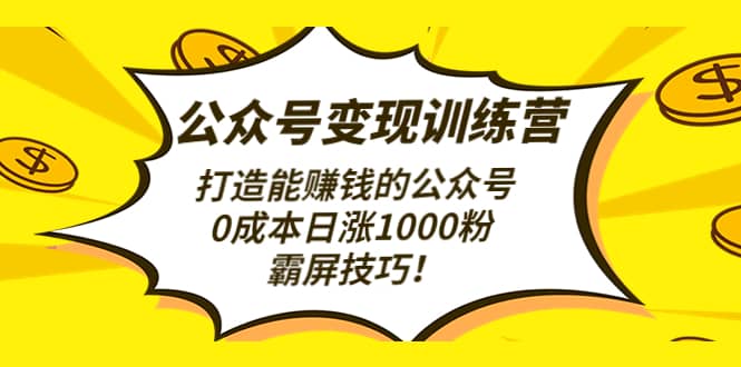 公众号变现训练营（第3期）-91搞钱