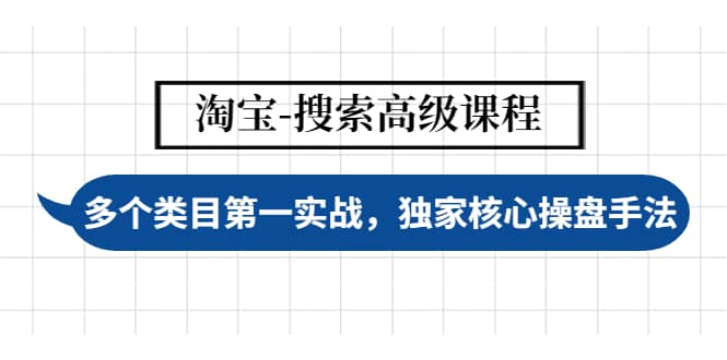 淘宝-搜索高级课程：多个类目第一实战，独家核心操盘手法-91搞钱