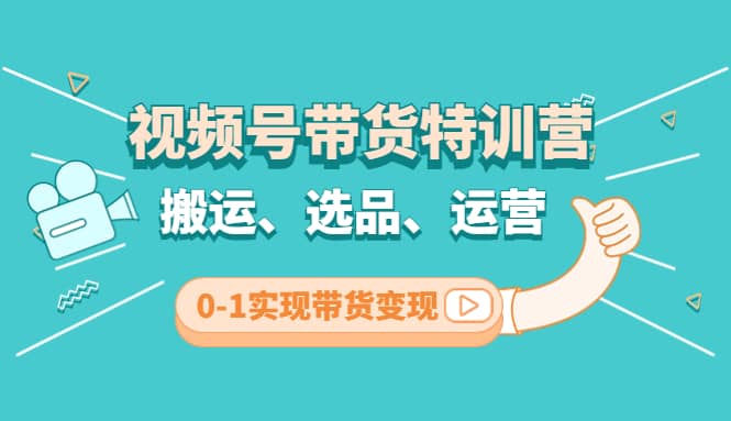 视频号带货特训营(第3期)：搬运、选品、运营、0-1实现带货变现-91搞钱