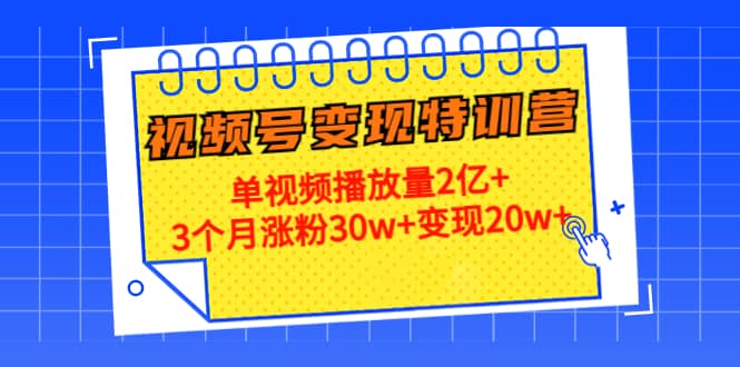 20天视频号变现特训营：单视频播放量2亿+-91搞钱