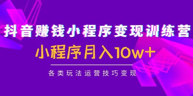 抖音小程序变现训练营：小程序各类玩法运营技巧变现-91搞钱