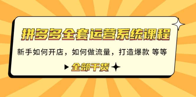拼多多全套运营系统课程：新手如何开店 如何做流量 打造爆款 等等 全部干货-91搞钱