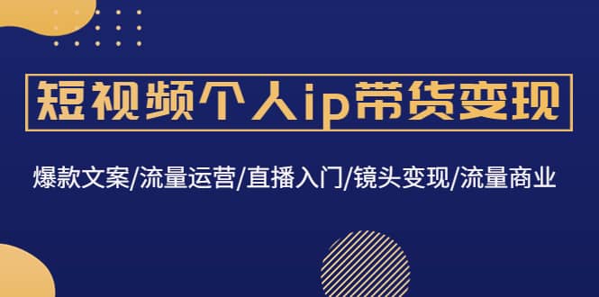 短视频个人ip带货变现：爆款文案/流量运营/直播入门/镜头变现/流量商业-91搞钱