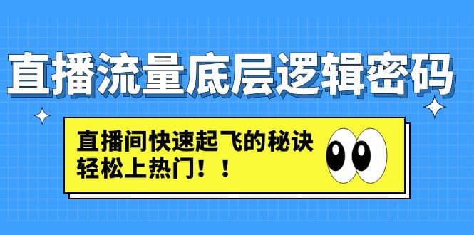 直播流量底层逻辑密码：直播间快速起飞的秘诀，轻松上热门-91搞钱