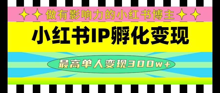 某收费培训-小红书IP孵化变现：做有影响力的小红书博主-91搞钱